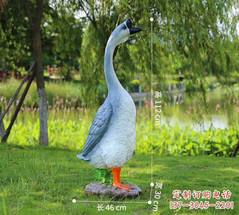 淮安站立立脖灰色天鹅